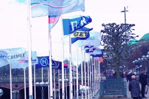 Infos zur der Stellungnahme