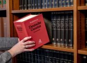 Ab ins Regal (Foto: Matthis Röpke, 2025)